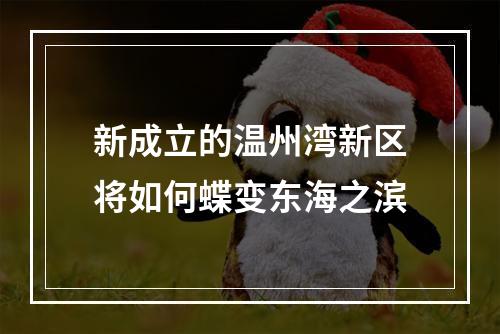 新成立的温州湾新区将如何蝶变东海之滨