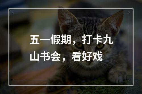 五一假期，打卡九山书会，看好戏