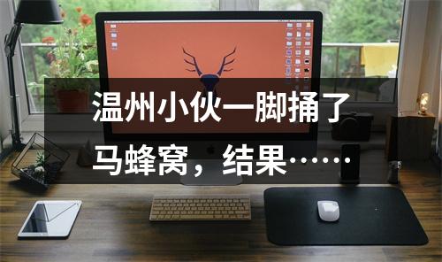 温州小伙一脚捅了马蜂窝，结果……