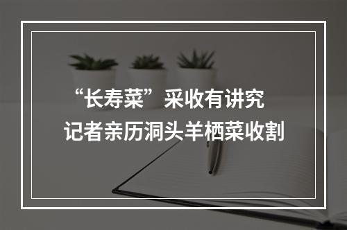 “长寿菜”采收有讲究 记者亲历洞头羊栖菜收割