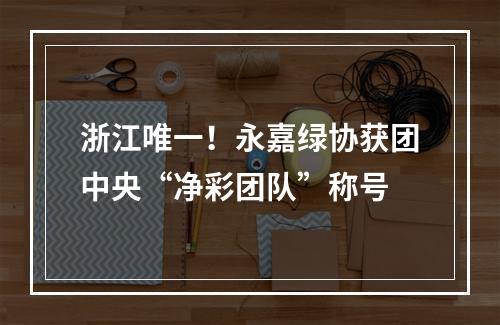 浙江唯一！永嘉绿协获团中央“净彩团队”称号