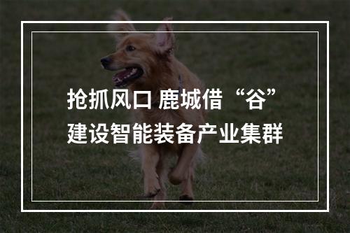 抢抓风口 鹿城借“谷”建设智能装备产业集群