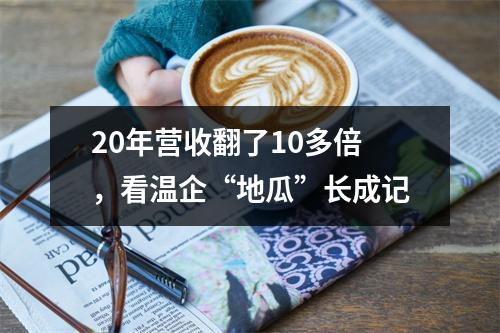 20年营收翻了10多倍，看温企“地瓜”长成记