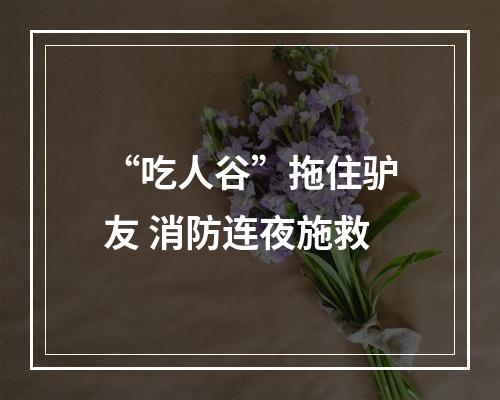 “吃人谷”拖住驴友 消防连夜施救