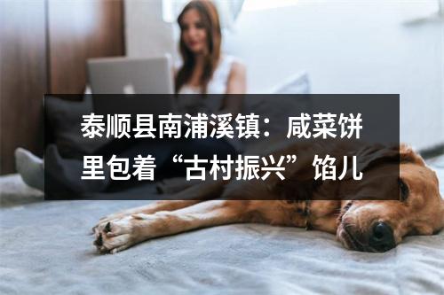 泰顺县南浦溪镇：咸菜饼里包着“古村振兴”馅儿