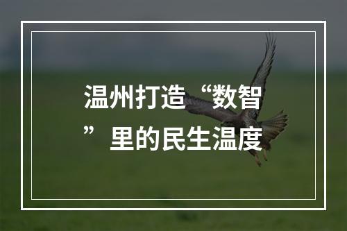 温州打造“数智”里的民生温度