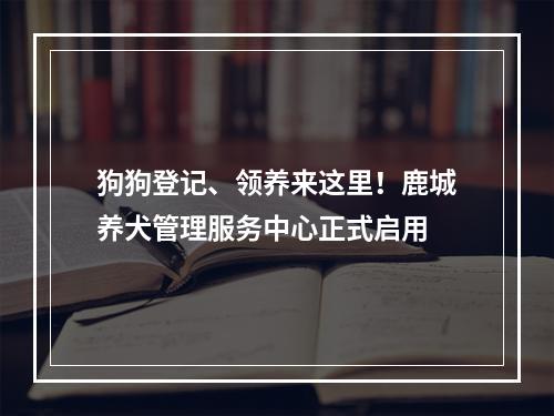 狗狗登记、领养来这里！鹿城养犬管理服务中心正式启用