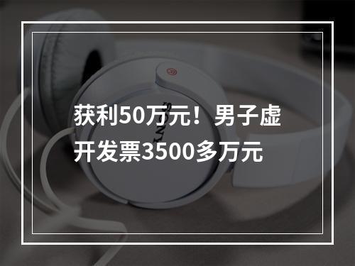 获利50万元！男子虚开发票3500多万元