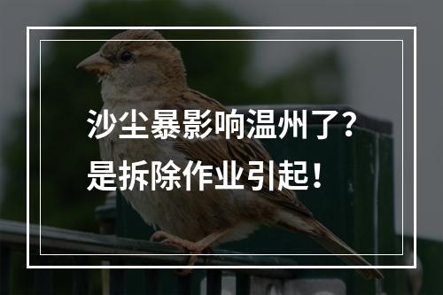 沙尘暴影响温州了？是拆除作业引起！