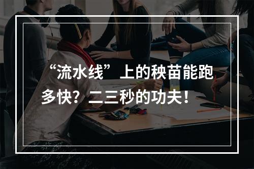 “流水线”上的秧苗能跑多快？二三秒的功夫！