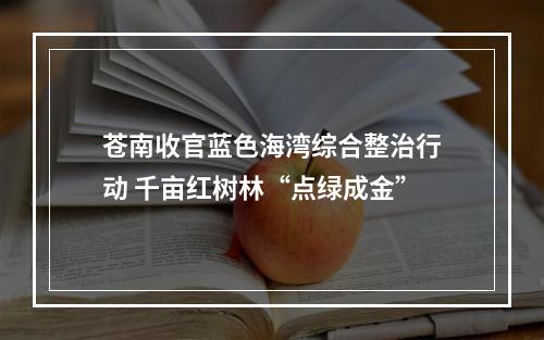 苍南收官蓝色海湾综合整治行动 千亩红树林“点绿成金”