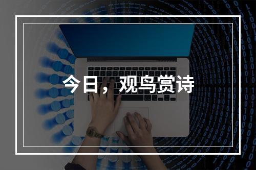 今日，观鸟赏诗