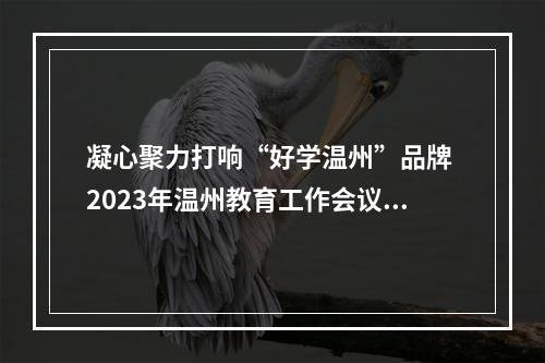 凝心聚力打响“好学温州”品牌 2023年温州教育工作会议召开