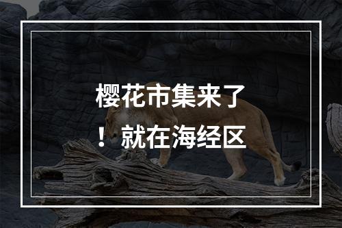 樱花市集来了！就在海经区