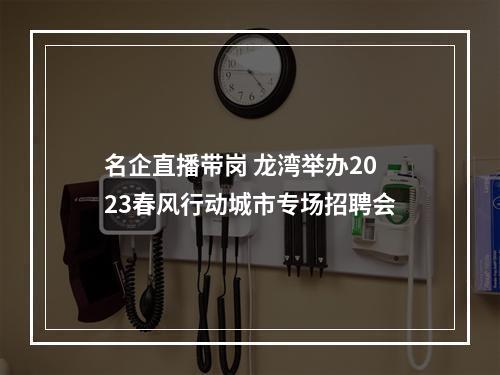 名企直播带岗 龙湾举办2023春风行动城市专场招聘会