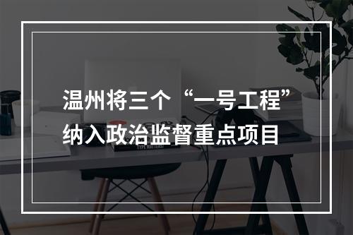 温州将三个“一号工程”纳入政治监督重点项目