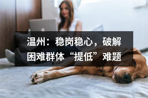 温州：稳岗稳心，破解困难群体“提低”难题