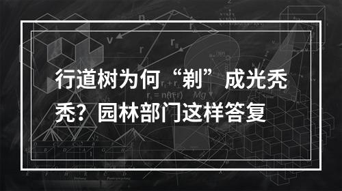 行道树为何“剃”成光秃秃？园林部门这样答复