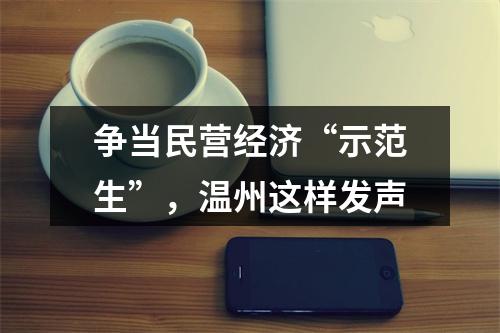争当民营经济“示范生”，温州这样发声