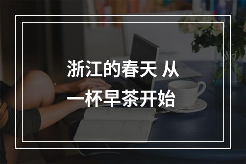 浙江的春天 从一杯早茶开始