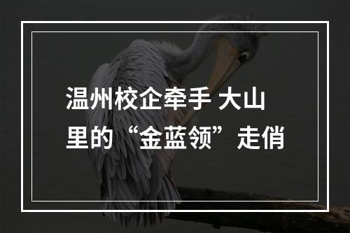 温州校企牵手 大山里的“金蓝领”走俏