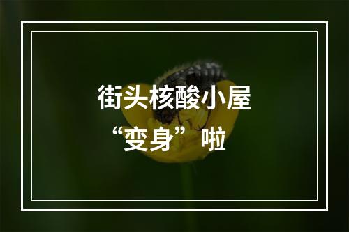 街头核酸小屋“变身”啦