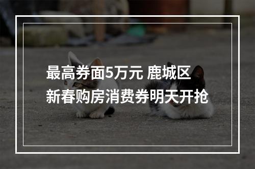 最高券面5万元 鹿城区新春购房消费券明天开抢