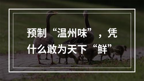 预制“温州味”，凭什么敢为天下“鲜”