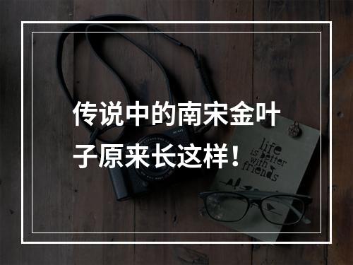传说中的南宋金叶子原来长这样！