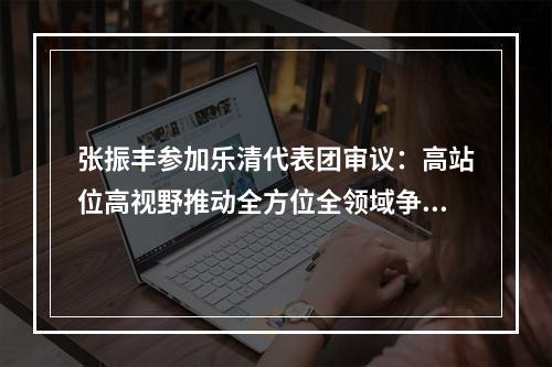 张振丰参加乐清代表团审议：高站位高视野推动全方位全领域争先创优