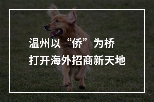 温州以“侨”为桥 打开海外招商新天地