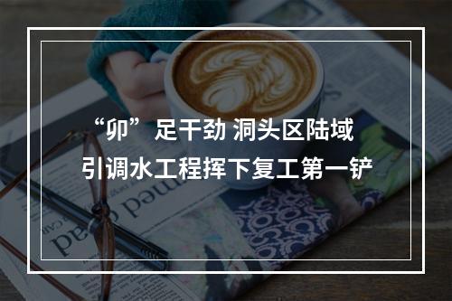 “卯”足干劲 洞头区陆域引调水工程挥下复工第一铲