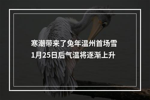 寒潮带来了兔年温州首场雪 1月25日后气温将逐渐上升