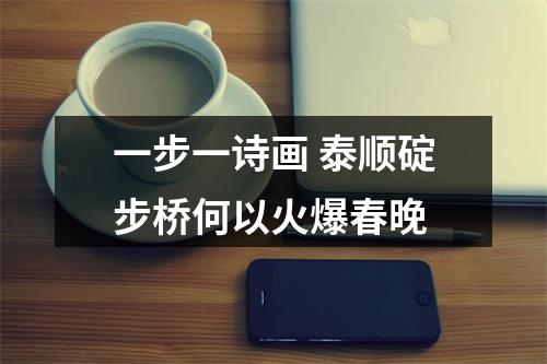 一步一诗画 泰顺碇步桥何以火爆春晚