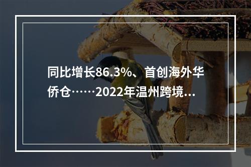 同比增长86.3%、首创海外华侨仓……2022年温州跨境电商综试区亮点多