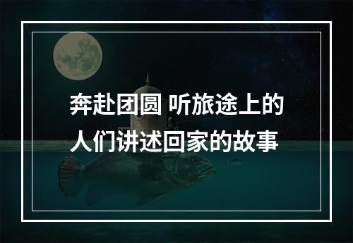 奔赴团圆 听旅途上的人们讲述回家的故事