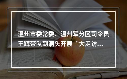 温州市委常委、温州军分区司令员王辉带队到洞头开展“大走访大调研大服务大解题”活动