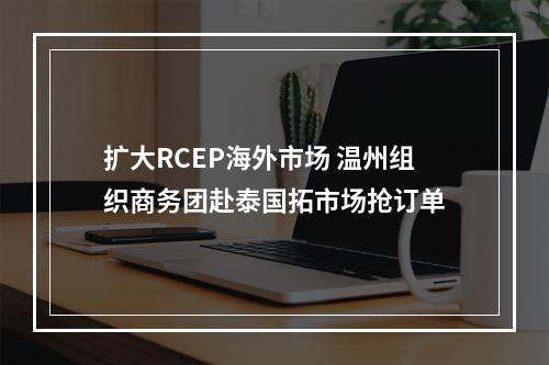 扩大RCEP海外市场 温州组织商务团赴泰国拓市场抢订单