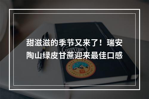甜滋滋的季节又来了！瑞安陶山绿皮甘蔗迎来最佳口感