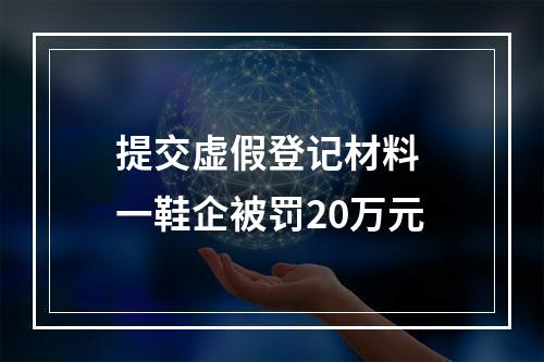 提交虚假登记材料 一鞋企被罚20万元