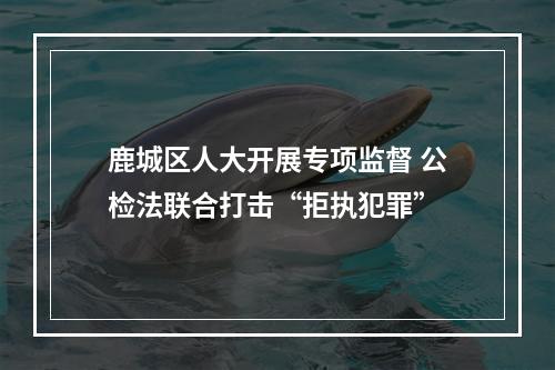 鹿城区人大开展专项监督 公检法联合打击“拒执犯罪”
