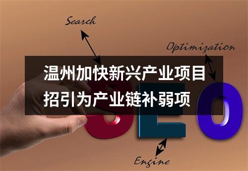 温州加快新兴产业项目招引为产业链补弱项