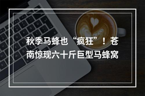 秋季马蜂也“疯狂”！苍南惊现六十斤巨型马蜂窝