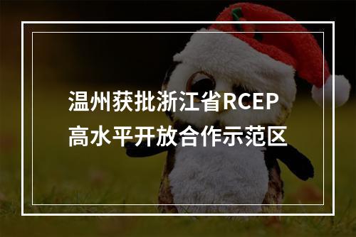 温州获批浙江省RCEP高水平开放合作示范区