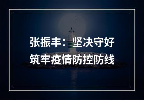 张振丰：坚决守好筑牢疫情防控防线