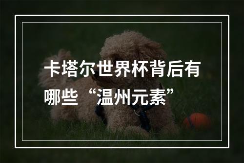 卡塔尔世界杯背后有哪些“温州元素”