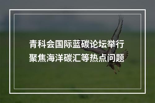 青科会国际蓝碳论坛举行 聚焦海洋碳汇等热点问题