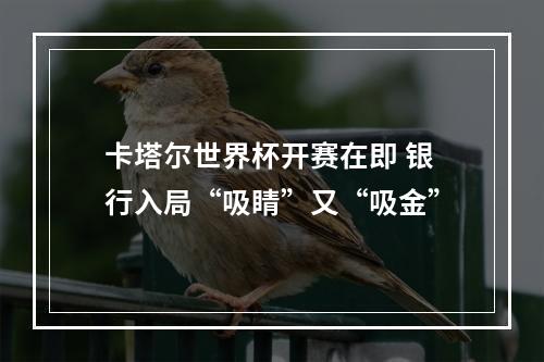 卡塔尔世界杯开赛在即 银行入局“吸睛”又“吸金”