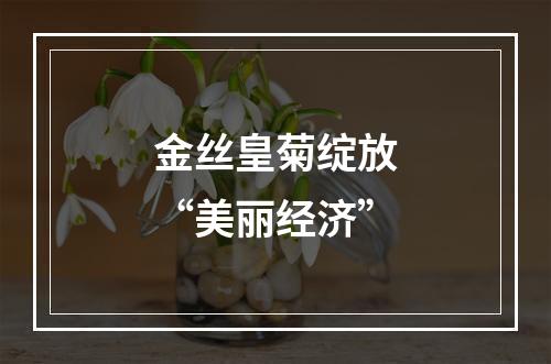 金丝皇菊绽放“美丽经济”