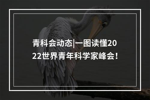 青科会动态|一图读懂2022世界青年科学家峰会！